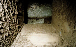 �����Ȃ��Ă���