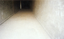 �ƂĂ����ꂢ�ɂȂ�